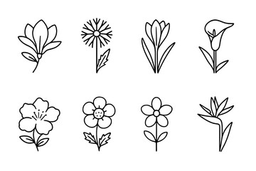 Poster - Vector icon collection featuring various flower designs with distinct outlines and styles for graphic projects