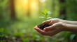 © lamin - environment Earth Day In the hands of trees growing seedlings. Bokeh green Background Female hand holding tree or plant on nature field grass Forest conservation concept, planting save earth ecology