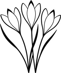 Wall Mural - delicate continuous line illustration of spring crocus flowers ideal for floral themed artwork botan
