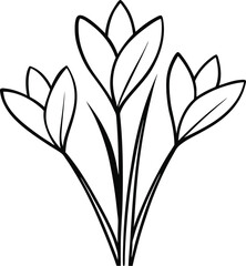 Wall Mural - simple line art of crocus flowers in bloom drawn in a continuous stroke for botanical decor floral m