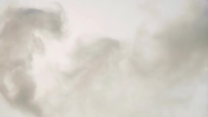 Poster - Abstract gray smoke swirl on light background  