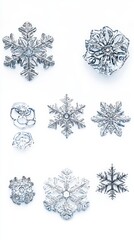 Poster - Collection of Elegant Ice Crystals on White Backdrop Capturing Intricate Textures with Refraction of Light