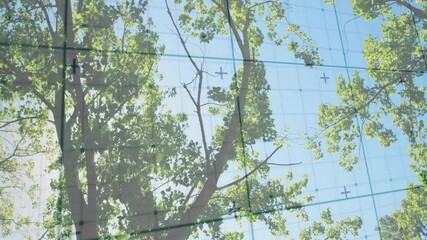 Poster - Tree trunk standing outdoors, showing animated grid nodes mapping foliage for technology demo