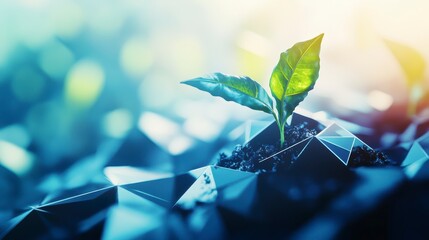 Wall Mural - young plant sprout growing from dark soil with geometric background.