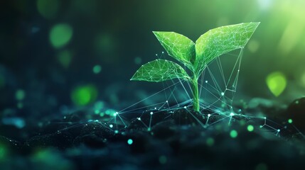 Poster - Digital rendering of a growing plant seedling with connecting lines, representing growth and technology.