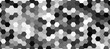 © Deep Earth  - Black hexagon pattern on a clean white background, modern and minimalistic design. Geometric layout with evenly spaced hexagons, subtle shadows for depth, high-resolution vector style.