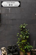 © Natasha Lee - Vignette of a street sign on gray wall in Hong Kong with plants and traditional lion statues.