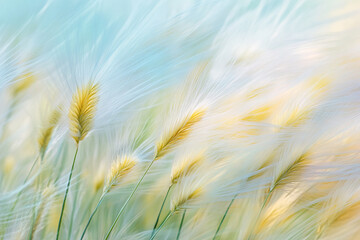 Poster - Soft, pale yellow and white grass seed heads sway gently, creating a light and airy texture, symbolizing serenity, peace, and natural beauty, ideal for calm or minimalist designs