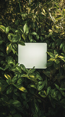 Poster - Blank sign nestled amongst lush green foliage, creating a natural, serene backdrop ideal for text or logo placement