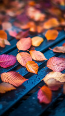 Poster - Autumn leaves in red, orange, and pink hues scattered on a dark blue surface, showcasing the beauty of fall foliage and seasonal change