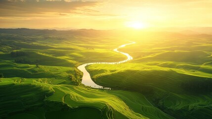 Poster - Serpentine river winds through lush green terraced hills