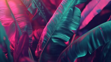 Poster - Banana leaves are illuminated with vibrant pink and teal lighting