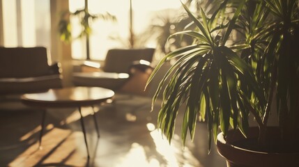 Poster - Plant casts sunlit shadows in serene mid century modern interior