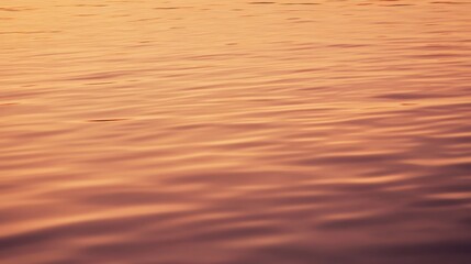Poster - Water surface reflects the warm light of a sunset