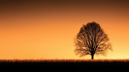 Poster - A solitary tree silhouette stands against an orange colored sky