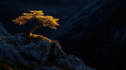 Poster - A solitary glowing tree perched on a rocky mountain peak