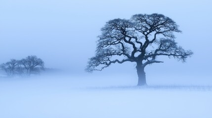 Poster - A solitary tree stands within a misty and atmospheric landscape