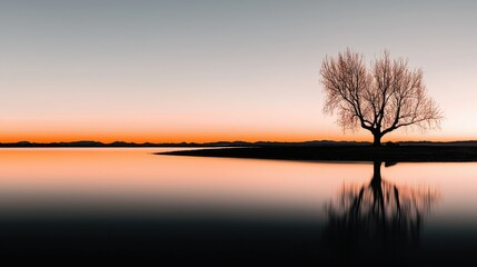 Fototapete - A solitary tree stands reflected in calm waters during sunset