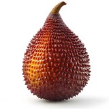 A single ripe salak fruit is isolated on a pure white background showcasing its unique reddish-brown scaly texture and subtle highlights.