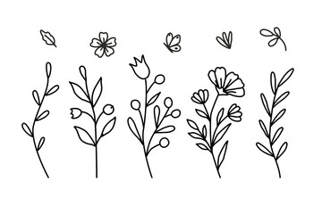 minimalistic wildflower and leaf illustrations in line art style. ideal for tattoos, logos, branding