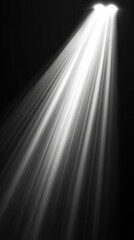 Poster - A bright light shining on a dark background. The light is coming from a camera flash. The light is casting a shadow on the wall