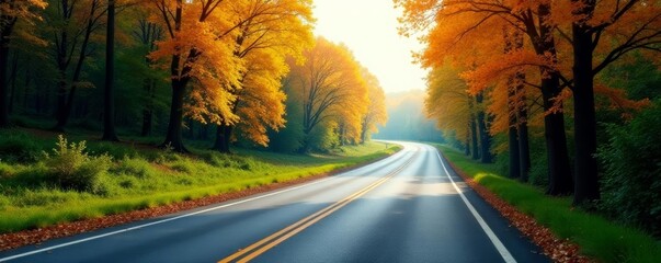 trees blending with highway in artistic overlay, transportation, landscape