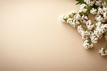 Leinwandbilder - Close-up of small white yarrow flowers arranged to form a letter Y on a neutral textured background, with a soft shadow effect and ample copy space