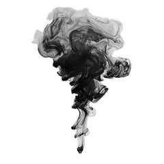 Poster - Ink artistry creates a mesmerizing cloud of smoke in black and white against a clean background, Ink Artistry A Cloud Smoke in Black and White, white background