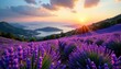 © Duangjai - Sun-drenched lavender fields on Hvar Island, Croatia Stunning mountain vista , vista, botany, Croatia travel