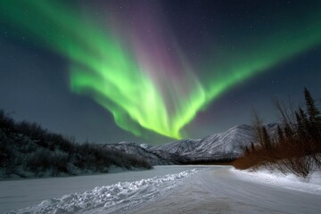 aurora borealis over snowy landscape