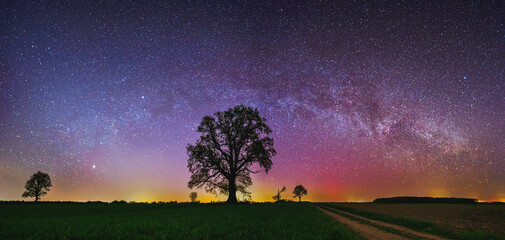 Wall Mural - Landscape with Milky way galaxy. Night sky with stars