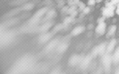Wall Mural - abstract shadow overlay from foliage on a transparent background.
