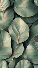 Poster - Close-up of overlapping green leaves, showcasing detailed vein texture. Represents nature, serenity, and organic design, ideal for eco-friendly branding