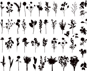 Wall Mural - flowers set black silhouette on white background, vector