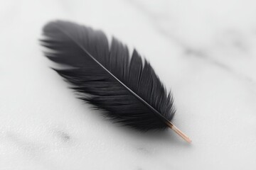 Poster - black feather rests upon stark white marble epitomizing elegance and fragility