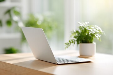 Poster - minimalist home workspace setup featuring sleek laptop on clean wooden desk surrounded by potted plants for touch of