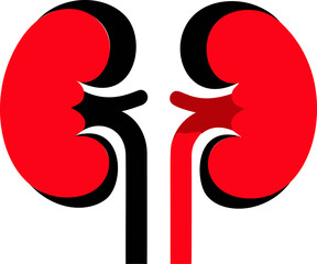 Poster - Red and black abstract illustration of human kidneys with bold outlines. Vector illustration