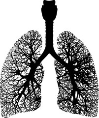 Poster - Silhouette of lungs as a tree with branches and roots, concept of nature. Vector illustration