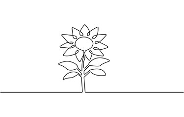 Poster - Sunflower continuous one line drawing and minimalist style isolate outline vector icon