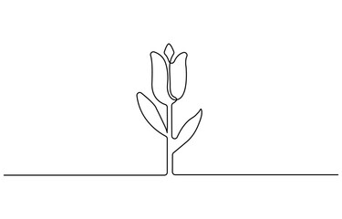 Poster - Tulip flower outline drawing illustration. one continuous line drawing of tulip flower. Nature concept.