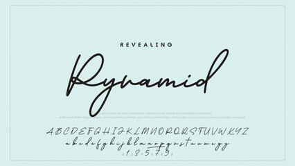 Fototapete - Hand drawn vector alphabet. Modern monoline signature script font. Elegant Signature Font. Best Alphabet Beautiful Calligraphy Signature Font