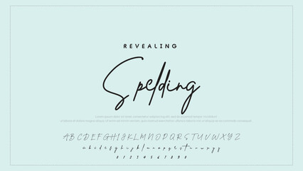 Fototapete - Hand drawn vector alphabet. Modern monoline signature script font. Elegant Signature Font. Best Alphabet Beautiful Calligraphy Signature Font