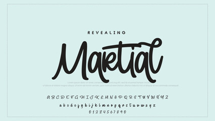 Fototapete - Hand drawn vector alphabet. Modern monoline signature script font. Elegant Signature Font. Best Alphabet Beautiful Calligraphy Signature Font
