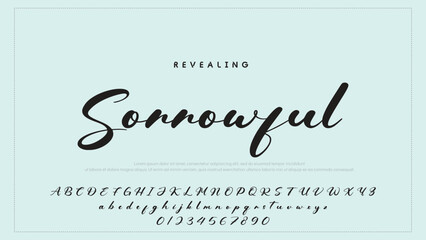 Fototapete - Hand drawn vector alphabet. Modern monoline signature script font. Elegant Signature Font. Best Alphabet Beautiful Calligraphy Signature Font