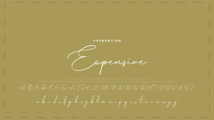 Fototapete - Hand drawn vector alphabet. Modern monoline signature script font. Elegant Signature Font. Best Alphabet Beautiful Calligraphy Signature Font