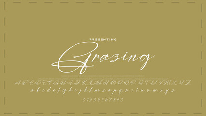 Fototapete - Hand drawn vector alphabet. Modern monoline signature script font. Elegant Signature Font. Best Alphabet Beautiful Calligraphy Signature Font