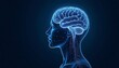 © NURUL - Brain's Blueprint: A luminous representation showcases the intricate neural network within the human mind, depicted in glowing detail against a captivating dark backdrop.