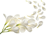 Beautiful freesia flowers gracefully scatter their delicate petals, creating serene and enchanting atmosphere
