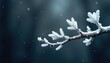 © Sayfar - White branch on a dark grey background with frost details, wood, branch