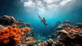 Coral Reef Marlin